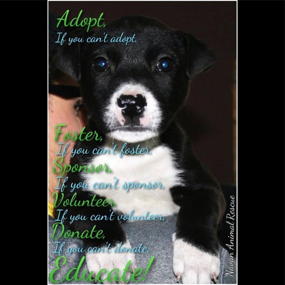 Meet your Posher, Michelle - Picture 2 of 5